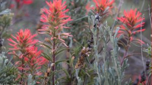 Joybos Storage & Organisation Review 2026: Does Premium Fabric Storage Actually Work?
